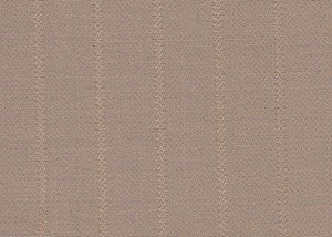 Beige Self Stripe